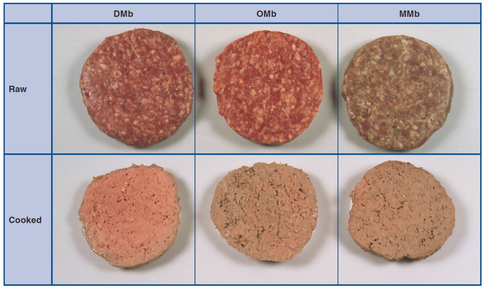 Is Hamburger Meat Spoiled When It Turns Grey or Brown Before Cooking? : Meat  Preparation Tips 