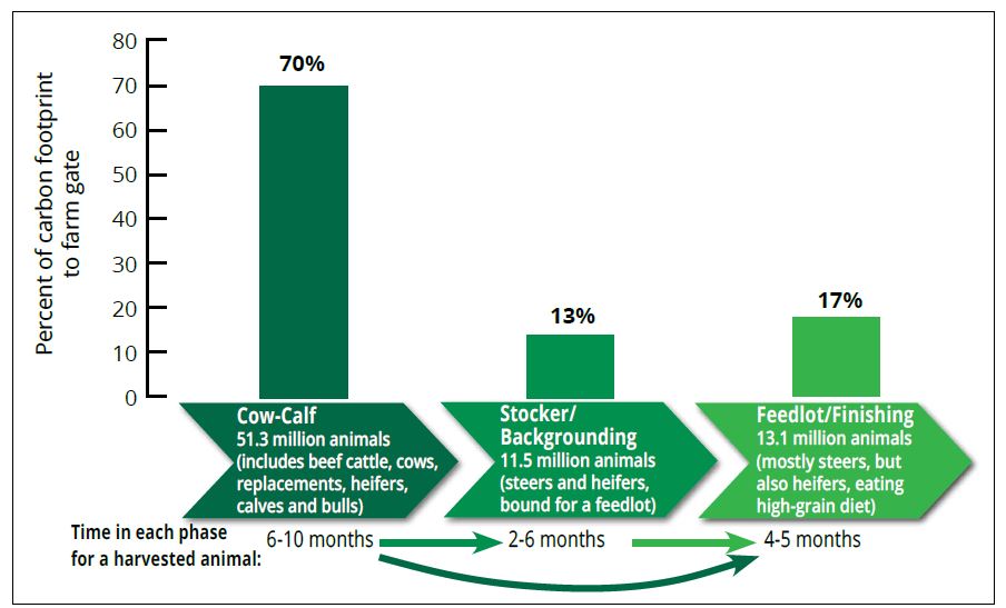 GRAIN  How much of world's greenhouse gas emissions come from agriculture?