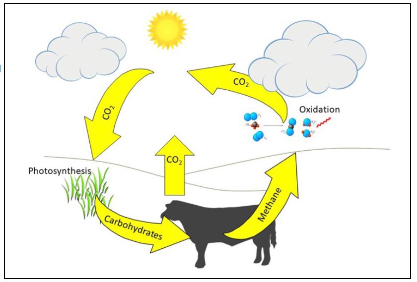 tqa-global-warming-figure-1