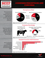 10-consumer-perceptions-and-concerns.png