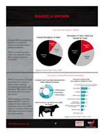 2024 BEEF INDUSTRY REVIEW AND CONSUMER INSIGHTS - Image8