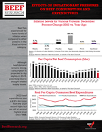 2-effects-of-inflationary-pressures-on-beef-comsumption-and-expenditures.png