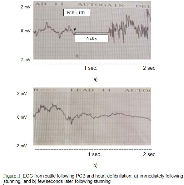 2005-identification-of-humane-cattle-stunning-systems-figure-01