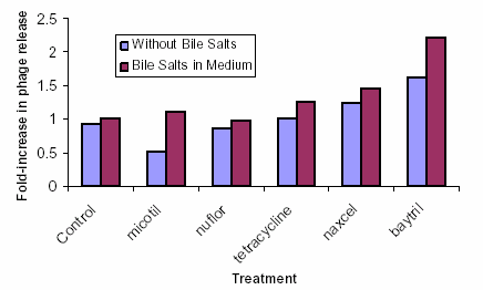 2005-phage-encoded-dissemination-of_shiga-toxin-genes-figure-01