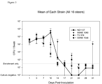 2007-colonization-characteristics-of-bovine-recto-anal-junction-figure-03