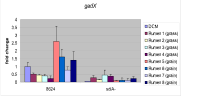 2007-correlation-of-e-coli-to-ahl-concentrations-figure-03