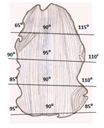 PQ_ProjectSummary_2008-Characterizing-Beef-Heel-Muscle-Figure-02