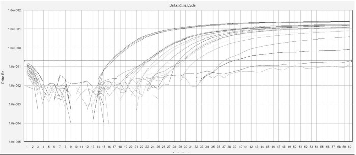 2008-detection-of-pathogenic-and-shiga-toxin-producing-e-coli-figure-02