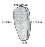 PQ_ProjectSummary_2008-Mapping-of-Intramuscular-Tenderness-in-the-Round-Figure-02