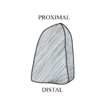 PQ_ProjectSummary_2008-Mapping-of-Intramuscular-Tenderness-in-the-Round-Figure-06