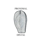 PQ_ProjectSummary_2008-Mapping-of-Intramuscular-Tenderness-in-the-Round-Figure-08