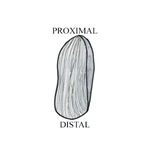 PQ_ProjectSummary_2008-Mapping-of-Intramuscular-Tenderness-in-the-Round-Figure-09