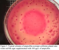 2008-tracing-pathogen-contamination-through-post-harvest-figure-03