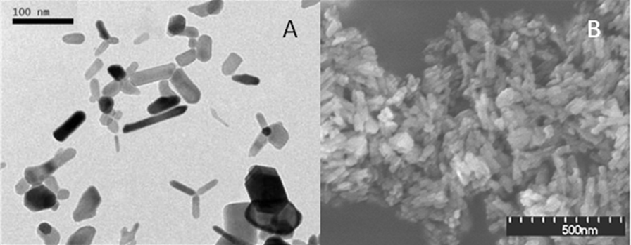 2009-applications-of-novel-yam-starch-figure-01