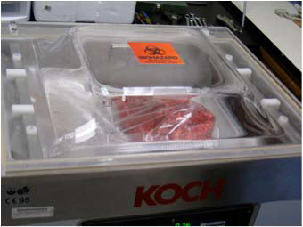 2009-evaluation-of-escherichia-coli-translocation-figure-01