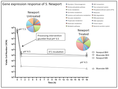2009-gene-expression-response-of-salmonella-figure-01