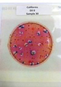 2010-impact-of-pre-and-post-harvest-process-controls-to-reduce-e-coli-figure-04