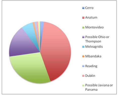 2010-presences-of-salmonella-within-lymph-nodes-figure-02