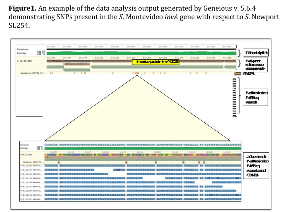 2011-characterization-of-salmonella-figure-01