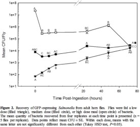 2013-biting-flies-biological-vectors-of-salmonella-figure-02