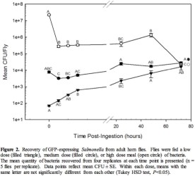 2013-biting-flies-biological-vectors-of-salmonella-figure-02