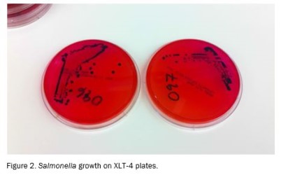 2013-crispr-diversity-antimicrobial-suceptibility-figure-02