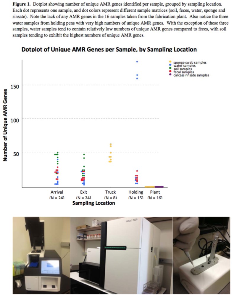 2013-metagenomic-sequencing-to-assess-microbiome-of-cattle-figure-01