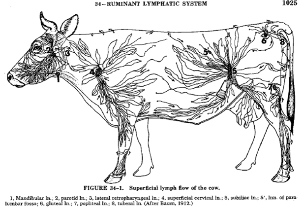 2013-validation-of-environmental-predictors-salmonella-contamination-figure-01