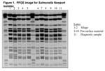 Safety_ProjectSummaries-2014-Impact-of-Pre-Harvest-Events-and-Practices-on-Salmonella-Figure-01.png