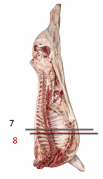 2015-Characterizing-Products-from-Beef-Rib-Figure-01