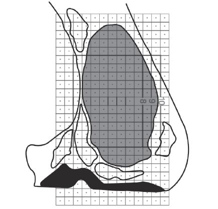 beef-grading-figure-5