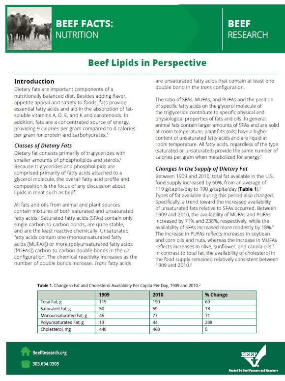 beef-lipids-image