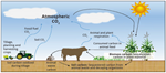 TQA-Carbon-Sequestration-Figure-1