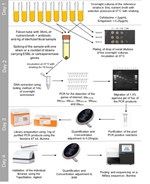 Safety_ProjectSummaries-2015-Enabling-Surveillance-of-Rare-Resistance-Phenotypes-Figure-03.png