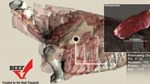 muscle_profiling_08-27-2020-53.jpg