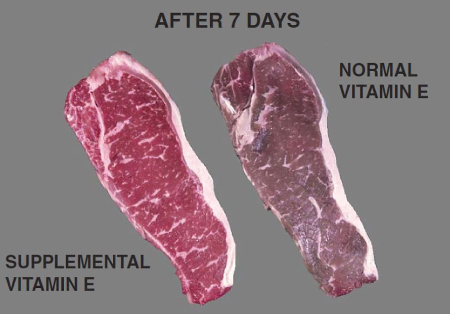 fresh-beef-marketing-image-1