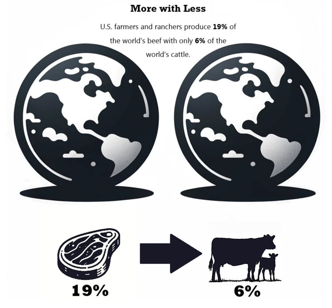 more with less