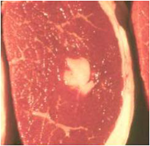 pq_projectsummaries-2004-greening-reaction-in-beef-injection-site-lesions-figure-04.png