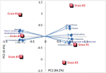 PQ_ProjectSummaries-2009-Development-of-a-Beef-Flavor-Lexicon-Figure-02