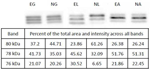 PQ_ProjectSummaries-2009-Improving-the-Quality-of-the-Beef-Round-With-Electrical-Stimulation-Figure-02