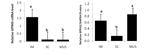 PQ_ProjectSummary_2010-Role-of-Fatty-Acids-at-Enhancing-Marbling-Development-2_Figure-1