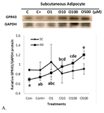 PQ_ProjectSummary_2010-Role-of-Fatty-Acids-at-Enhancing-Marbling-Development-3-Figure-2-A