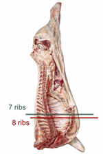 PQ_ProjectSummary_2015-Beef-Rib-Alternative-4_Figure-1