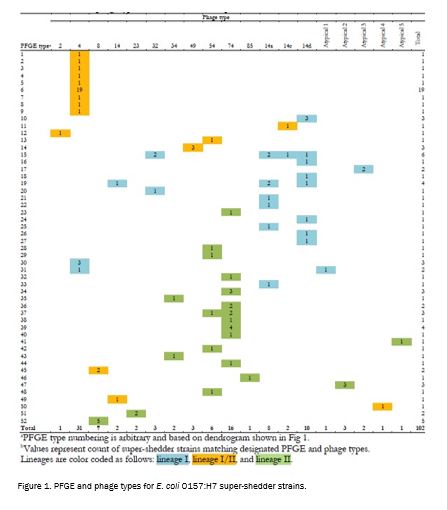 safety_projectsummaries-2011-characterization-of-e-coli-o157h7-figure-01