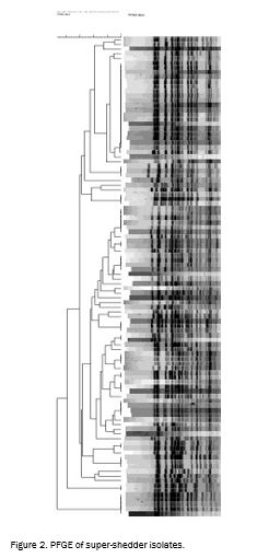 safety_projectsummaries-2011-characterization-of-e-coli-o157h7-figure-02