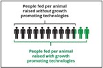 TQA-Growth-Promotants-Figure-2