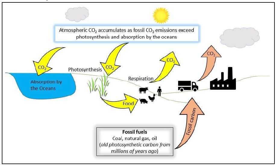 tqa-global-warming-figure-2