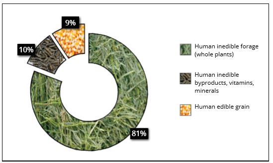 tqa-sustainable-food-system-figure-1